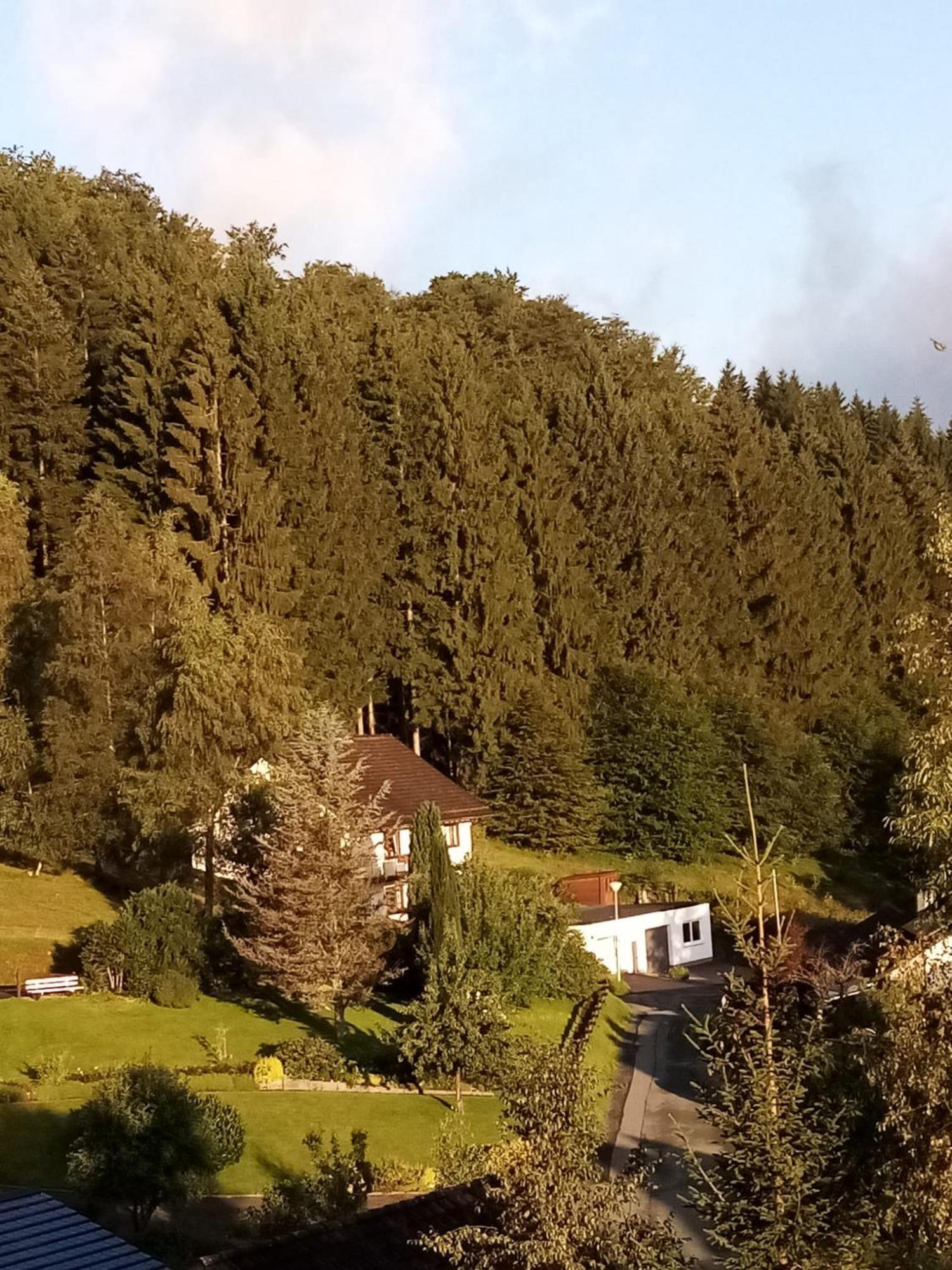 Holiday Home Rehsiepen Schmallenberg Exterior foto